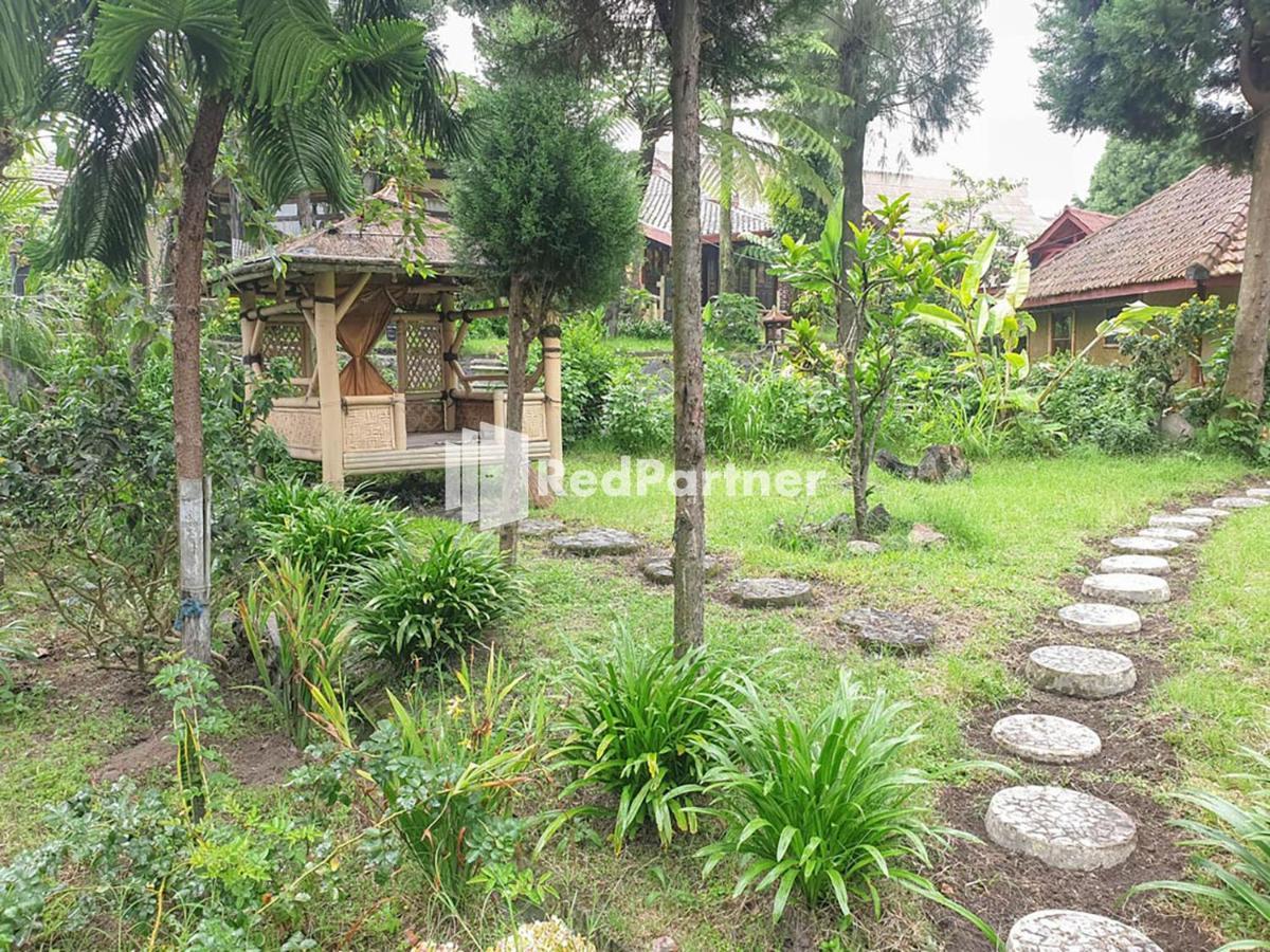 Hotel Yoschi'S Bromo At Desa Wisata Bromo Ngadisari Exterior foto